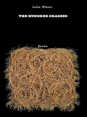 cover image of The Hundred Grasses